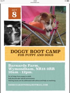 boot camp dog puppy training