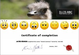 animal emotions certificate